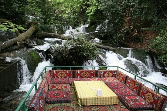 Sarigerme Dalyan River Cruise, Turtle Beach & Mud Baths