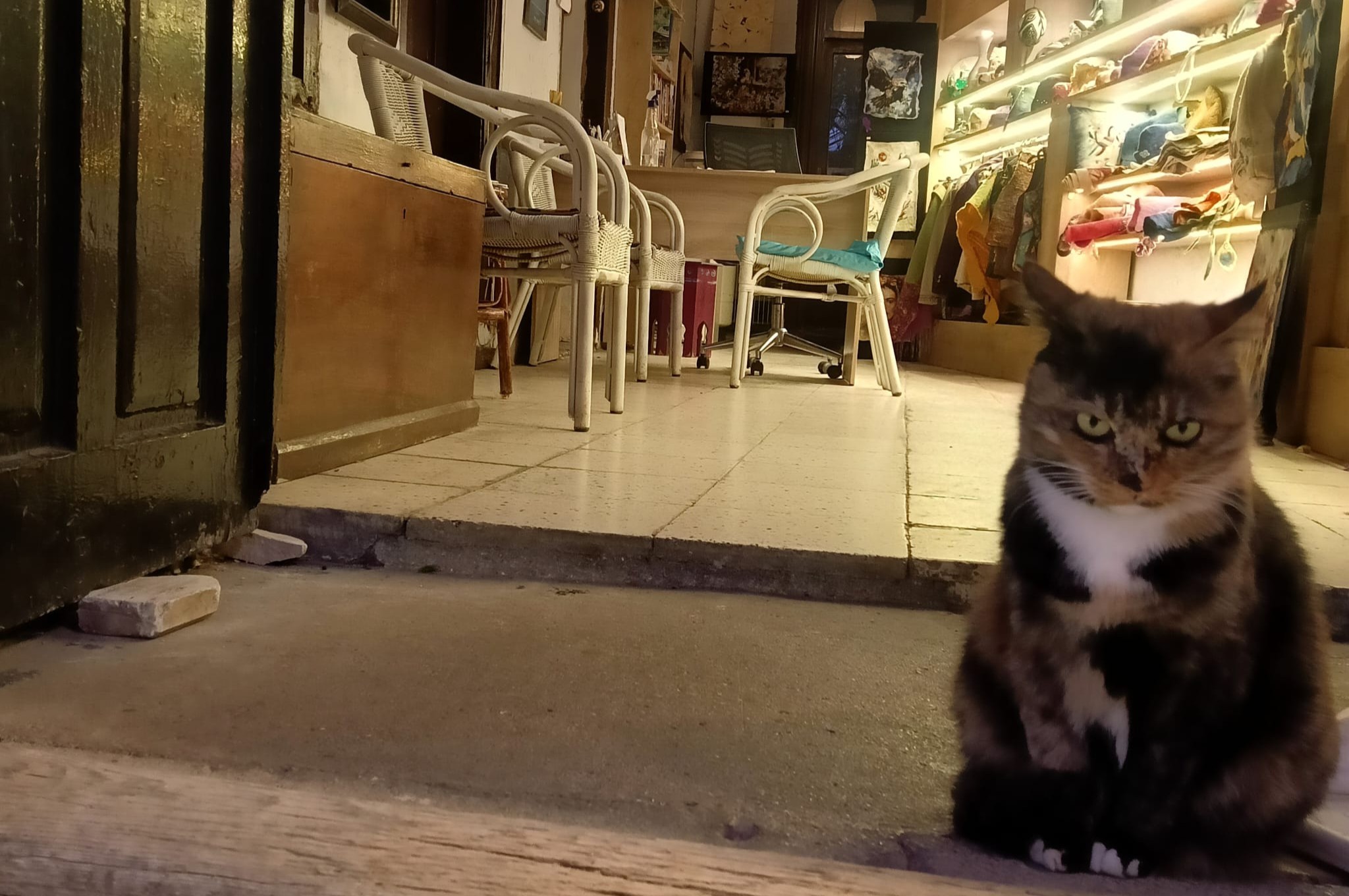 Sarigerme Dalyan River Cruise, Turtle Beach & Mud Baths