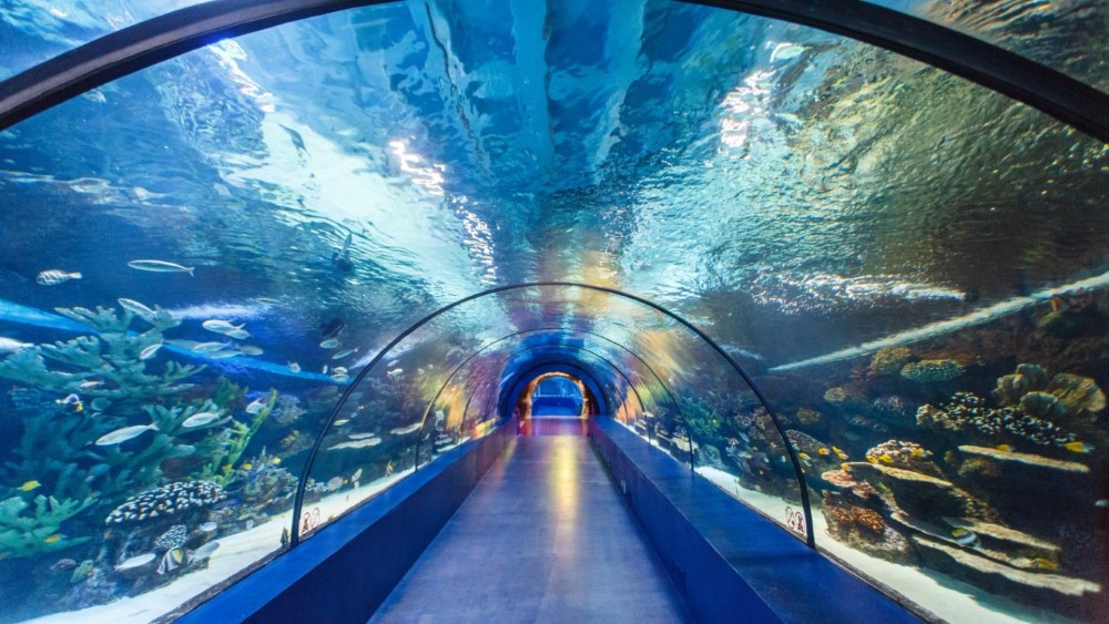 Antalya – Visite de la Ville – l’Aquarium