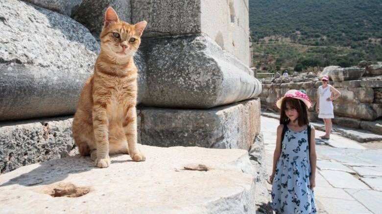 Gocek – Ephesus and The House of the Virgin Mary